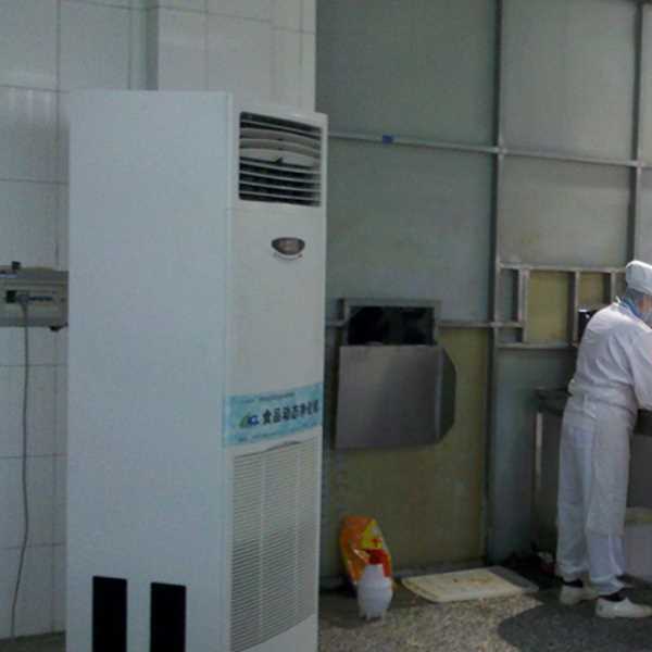 东莞食品正负离子空气杀菌器